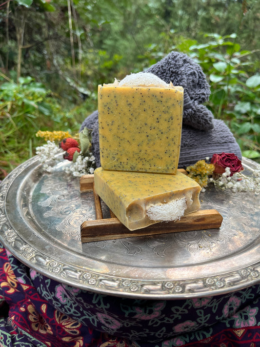 Lemongrass Loofa Bar Soap